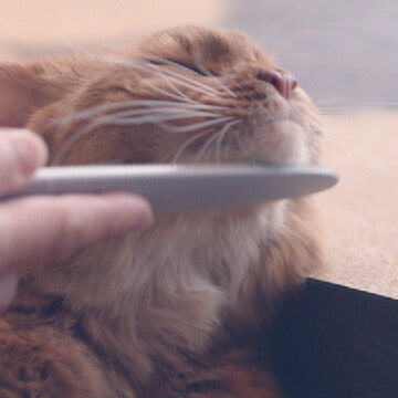 ねこじゃすり グレー（猫 毛づくろい ブラシ ケア）