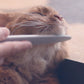 ねこじゃすり ピンク（猫 毛づくろい ブラシ ケア）