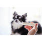 ナノウエル オーラルケア（愛犬用） 20ml