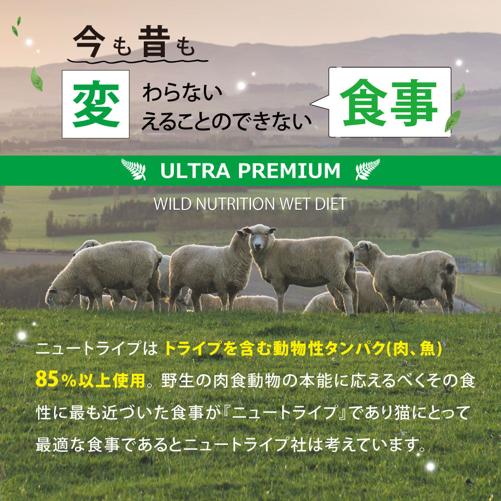 ニュートライプ 猫缶 CAT PURE マッカレル＆グリーントライプ 95g