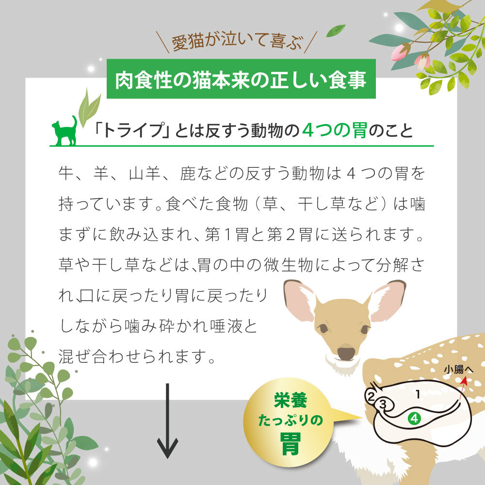 ニュートライプ 猫缶 CAT PURE マッカレル＆グリーントライプ 95g