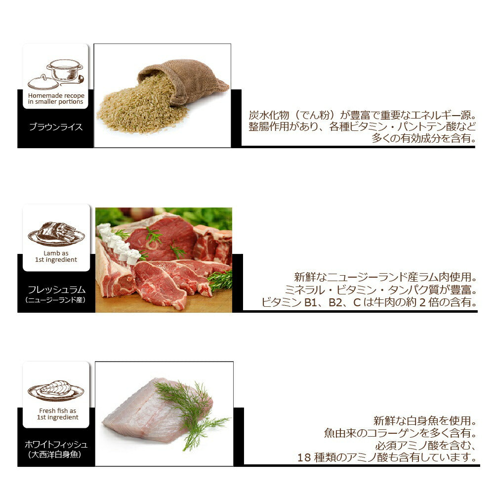 オーブンベイクド トラディション キャットフード グレインフリー チキン 1.13kg（オーブンベイクド ナチュラル 無添加）