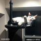 【在庫限り！】OPPO キャットフォレスト ブラック キャット キャットタワー 突っ張り スリム 省スペース おしゃれ 猫 ネコ用品 オッポ CatForest 4904771117195