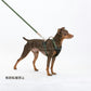 オッポ OPPO ツナゴ TUNAGO ダブルプレミアムカラー Double Premium CollarDobP Collar XS グリーン/ライトブラウン