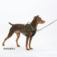 オッポ OPPO ツナゴ TUNAGO ダブルプレミアムカラー Double Premium CollarDobP Collar XS グリーン/ライトブラウン