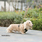 オッポ OPPO ツナゴ TUNAGO ダブルプレミアムカラー Double Premium CollarDobP Collar XS グリーン/ライトブラウン