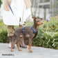 オッポ OPPO ツナゴ TUNAGO ダブルプレミアムカラー Double Premium CollarDobP Collar XS ブラウン/パープル
