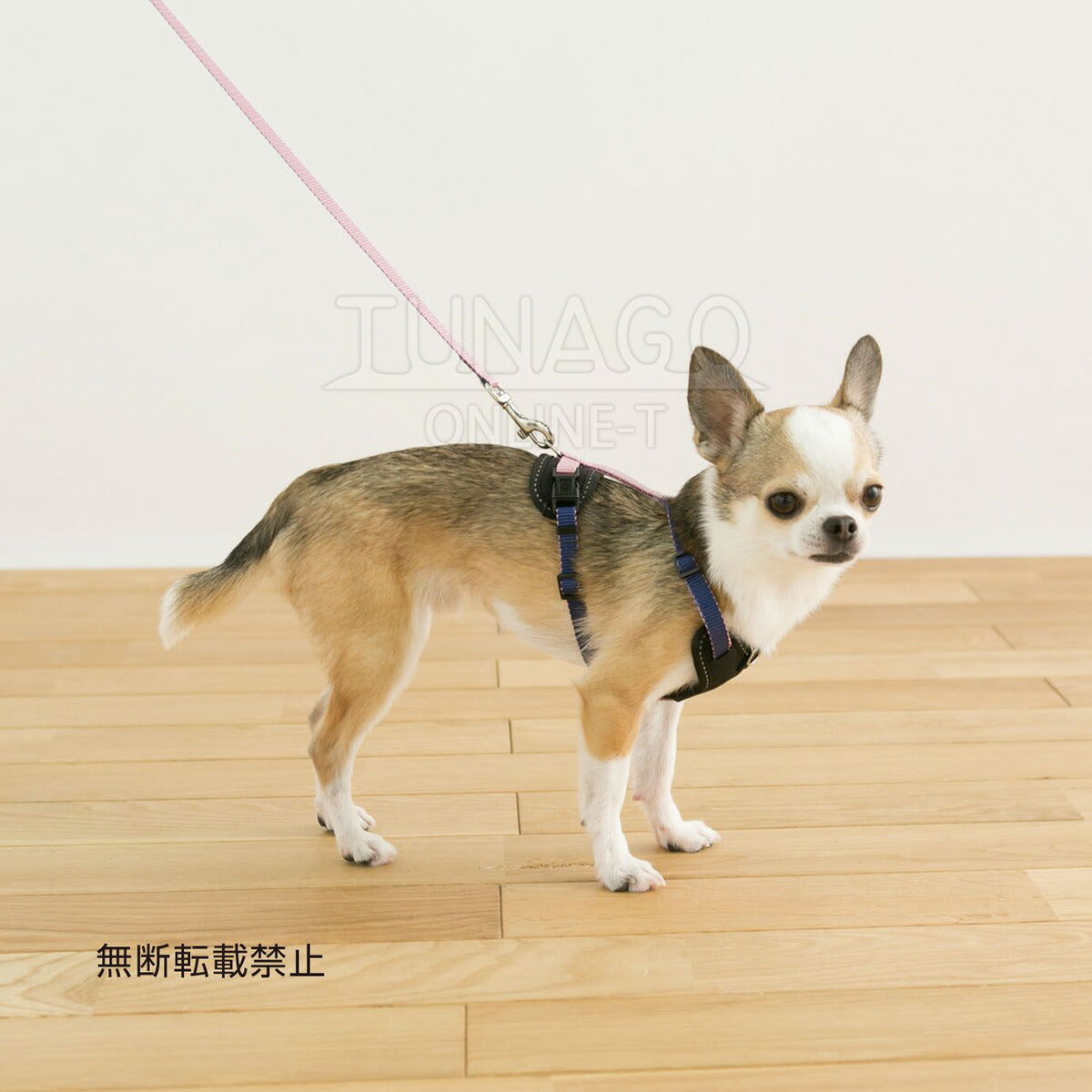 オッポ OPPO ツナゴ TUNAGO ダブルプレミアムカラー Double Premium CollarDobP Collar M グレー/レッド