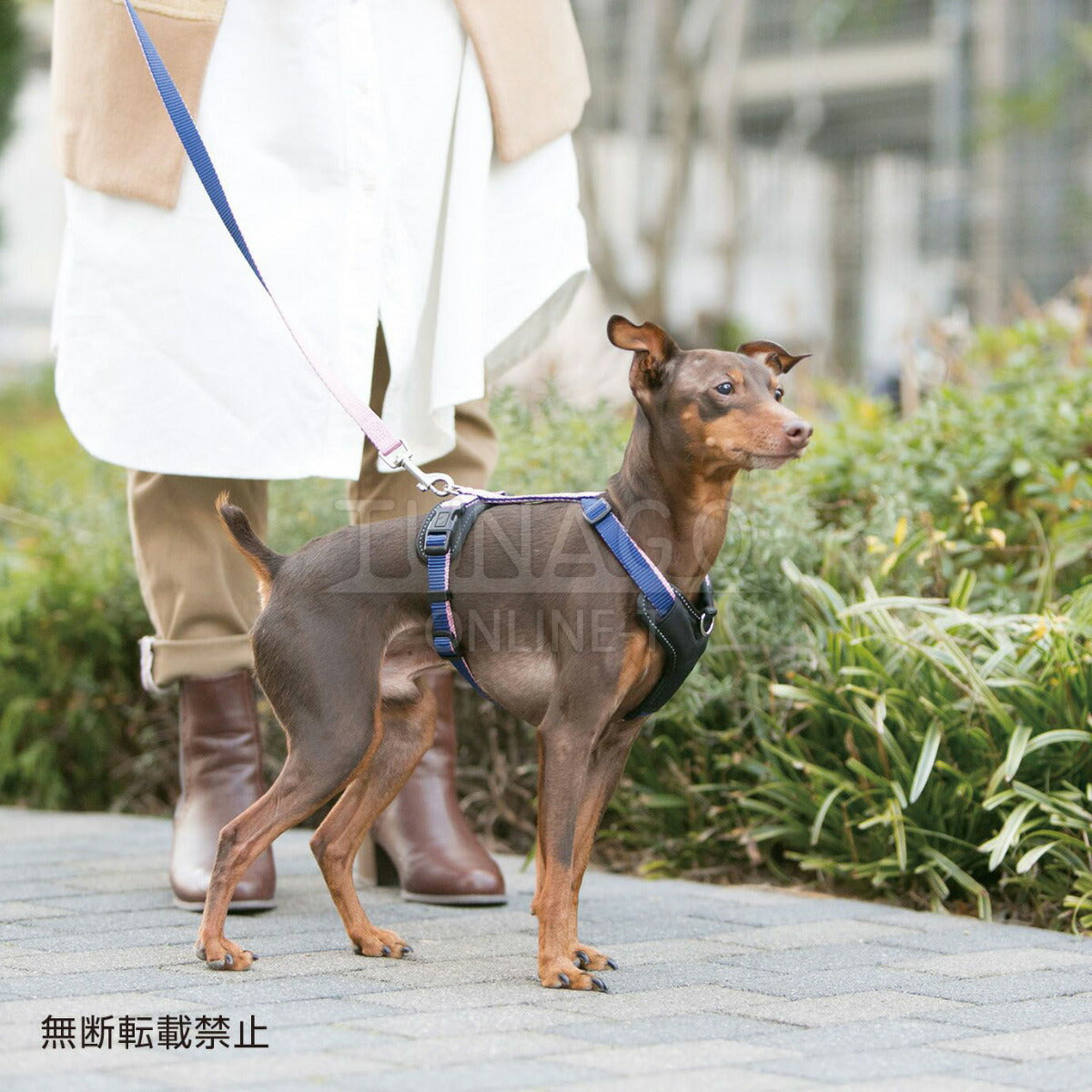 オッポ OPPO ツナゴ TUNAGO ダブルプレミアムリード Double Premium Lead DobP Lead S グレー/レッド