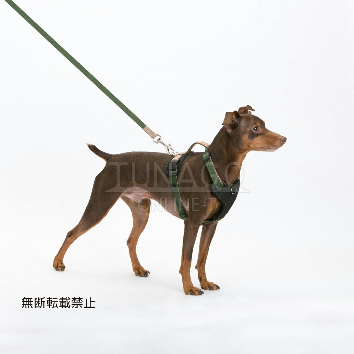オッポ OPPO ツナゴ TUNAGO ダブルプレミアムハーネス Double Premium Harness DobP Harness S オレンジ/ブルー