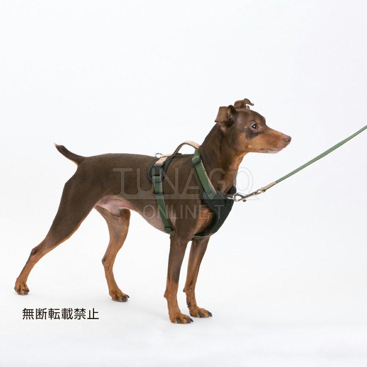 オッポ OPPO ツナゴ TUNAGO ダブルプレミアムハーネス Double Premium Harness DobP Harness S オレンジ/ブルー