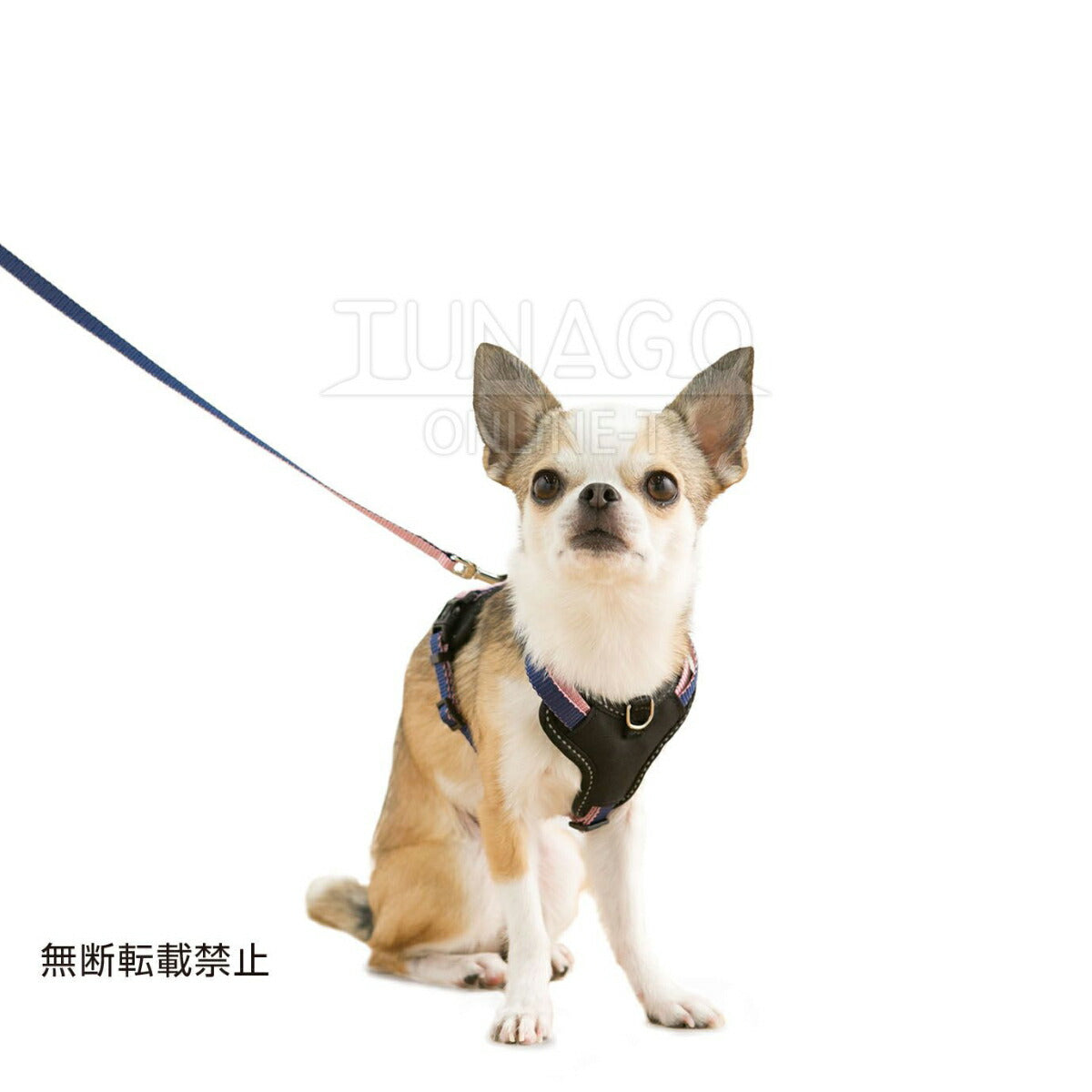 オッポ OPPO ツナゴ TUNAGO ダブルプレミアムハーネス Double Premium Harness DobP Harness S オレンジ/ブルー