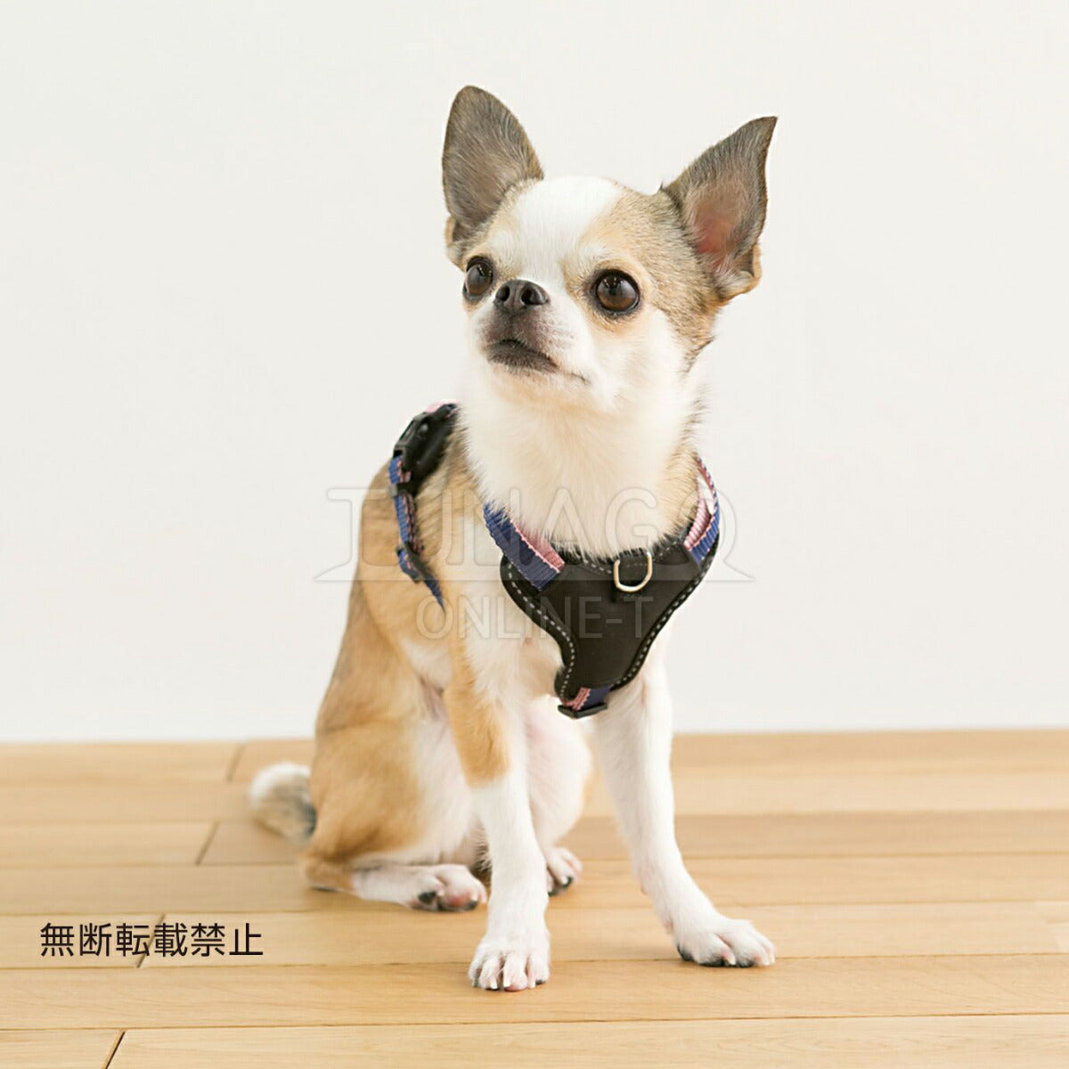 オッポ OPPO ツナゴ TUNAGO ダブルプレミアムハーネス Double Premium Harness DobP Harness S オレンジ/ブルー