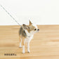 オッポ OPPO ツナゴ TUNAGO サブリメーションカラー Sublimation Collar SubM Collar S プールパーティ-B