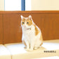 オッポ OPPO ツナゴ TUNAGO エンビ―キャットカラー ENVY Cat Collar ジグザク ブルー
