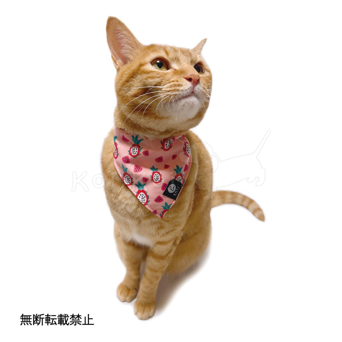 オッポ OPPO ツナゴ TUNAGO エンビ―キャットカラーセット ENVY Cat Collar Set カラフル レイン