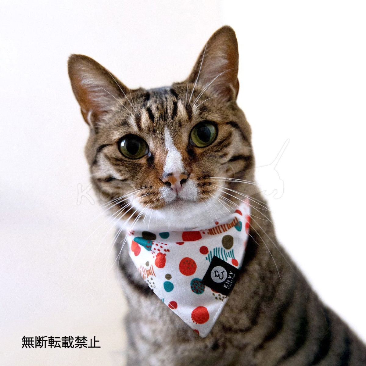 オッポ OPPO ツナゴ TUNAGO エンビ―キャットカラーセット ENVY Cat Collar Set ストーン パステル