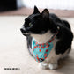 オッポ OPPO ツナゴ TUNAGO エンビ―キャットカラーセット ENVY Cat Collar Set まつり