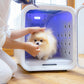 【分割手数料無料！】ネロ nello ペットドライルーム 5年物損付延長保証付き グレー 犬 猫 ドライヤー エアシャワー ハウス 日本製 送風 温風 静音 室内 分解丸洗いOK キャスター付き