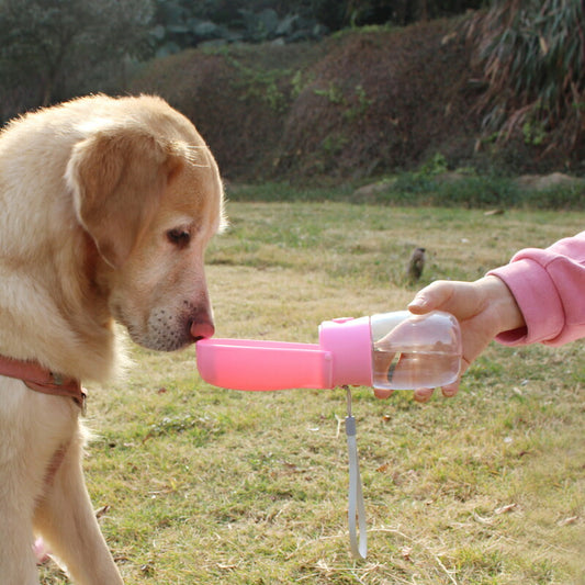 Petifam ペティファーム 折りたたみポータブルウォーターボトル ピンク 500ml 犬 水筒 給水器 携帯 お散歩 アウトドア おでかけ 折りたたみ コンパクト 持ち運び 水分補給 熱中症対策