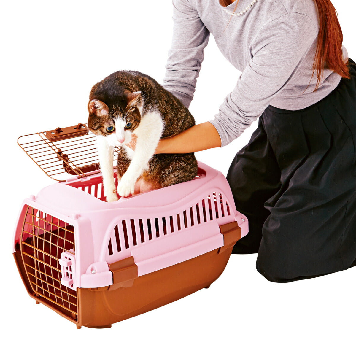 ペティオ 2ドア スマイルキャリー S ピンク【送料無料】 ハードキャリー クレート 犬 猫 小動物
