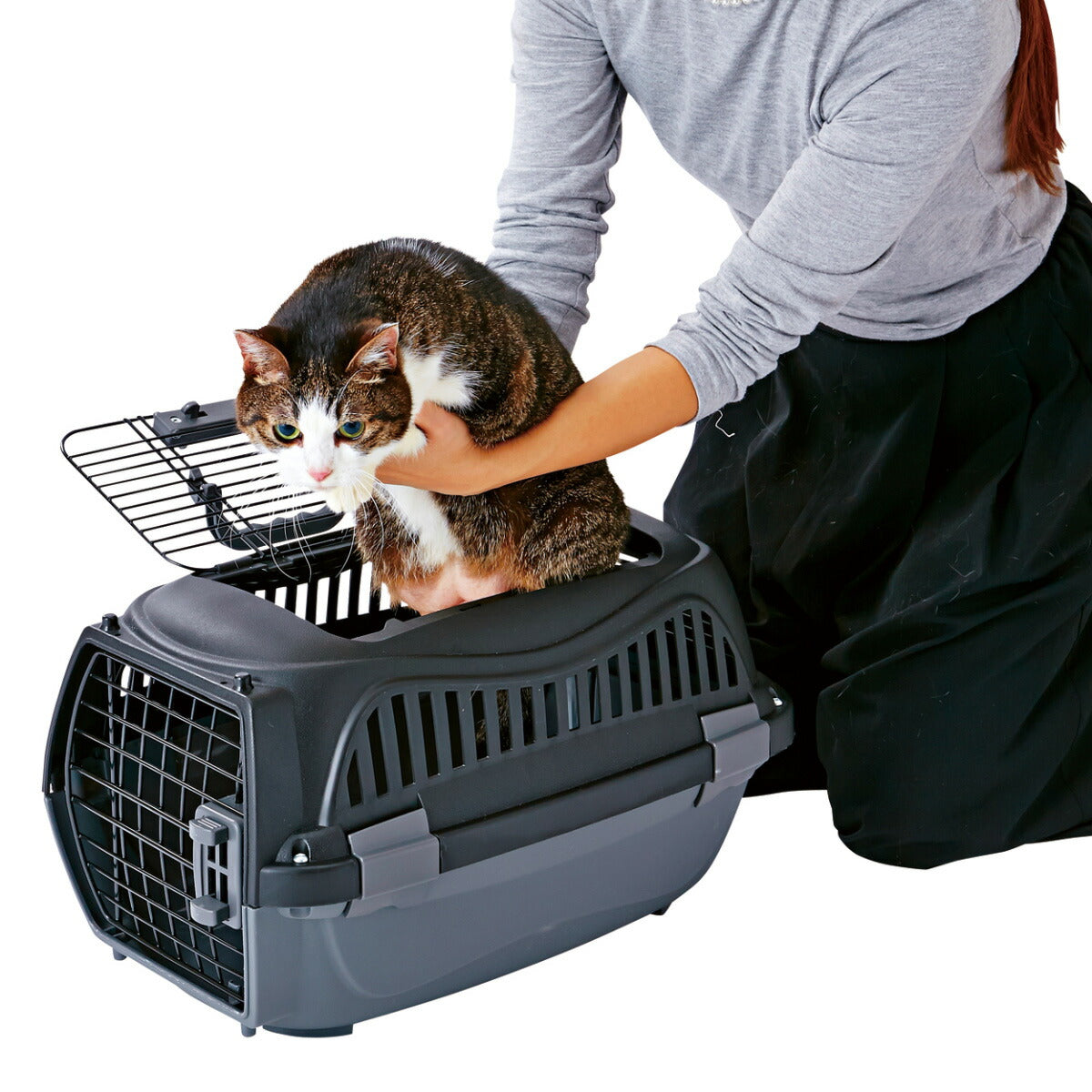 ペティオ 2ドア スマイルキャリー S ブラック【送料無料】 ハードキャリー クレート 犬 猫 小動物