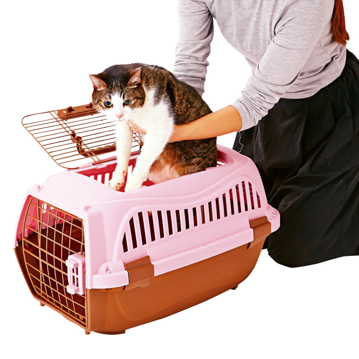 ペティオ 2ドア スマイルキャリー M ピンク【送料無料】 ハードキャリー クレート 犬 猫 小動物
