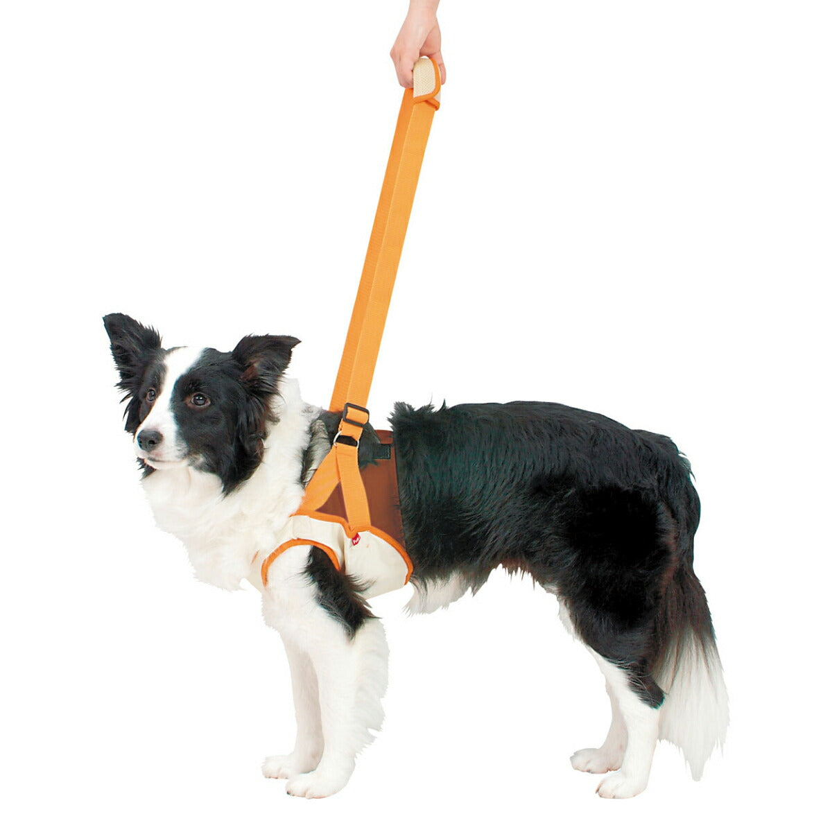 ペティオ zuttone 老犬介護用 歩行補助ハーネス 前足用K 2L 抗菌 消臭 手洗い