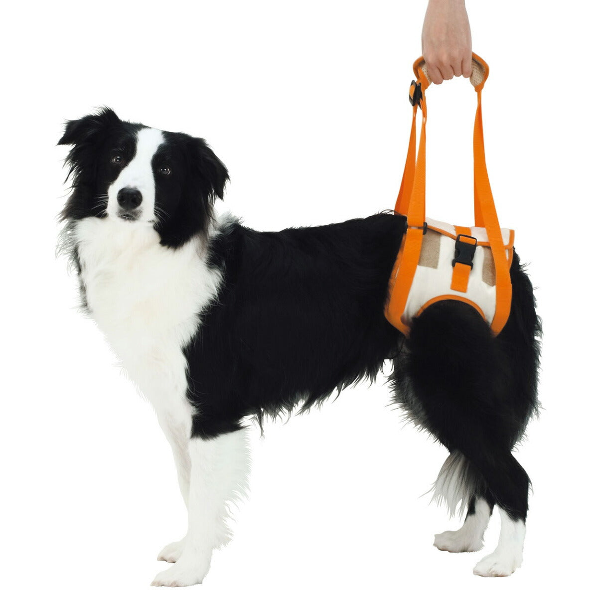 ペティオ zuttone 老犬介護用 歩行補助ハーネス 後足用K 2L 抗菌 消臭 手洗い
