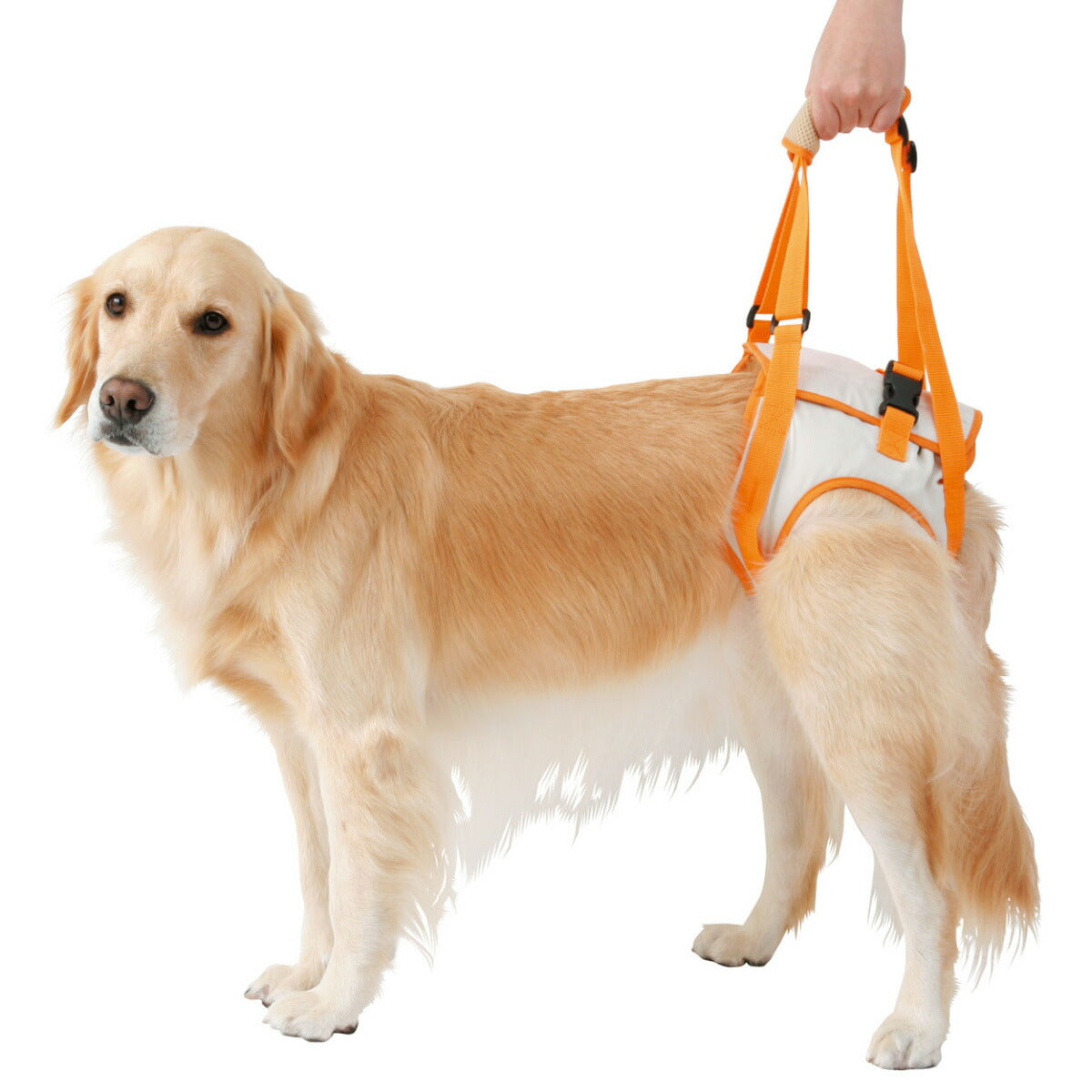ペティオ zuttone 老犬介護用 歩行補助ハーネス 後足用K 3L【送料無料】 抗菌 消臭 手洗い
