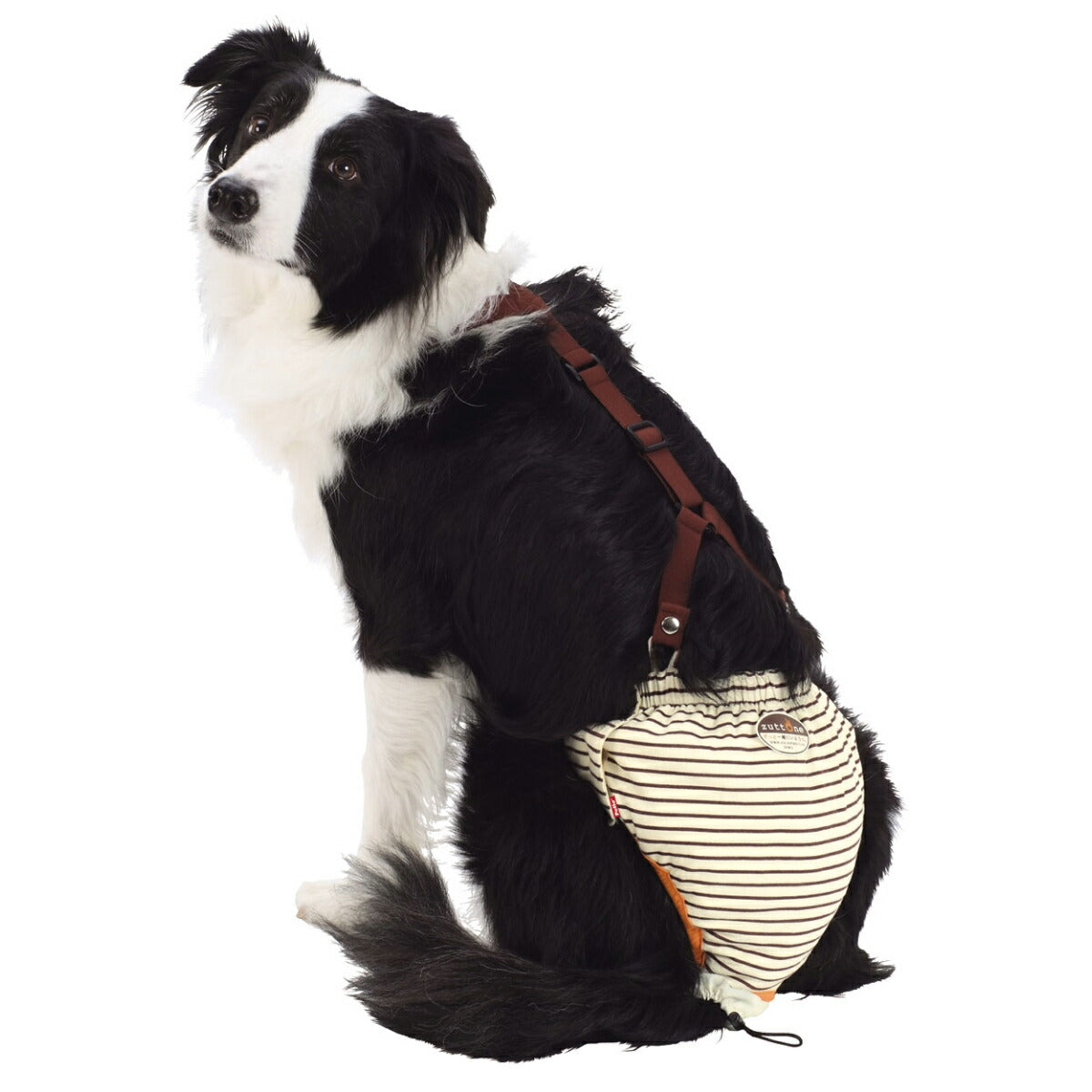 ペティオ zuttone 老犬介護用 おむつパンツK 2L 防臭 手洗い おむつカバー
