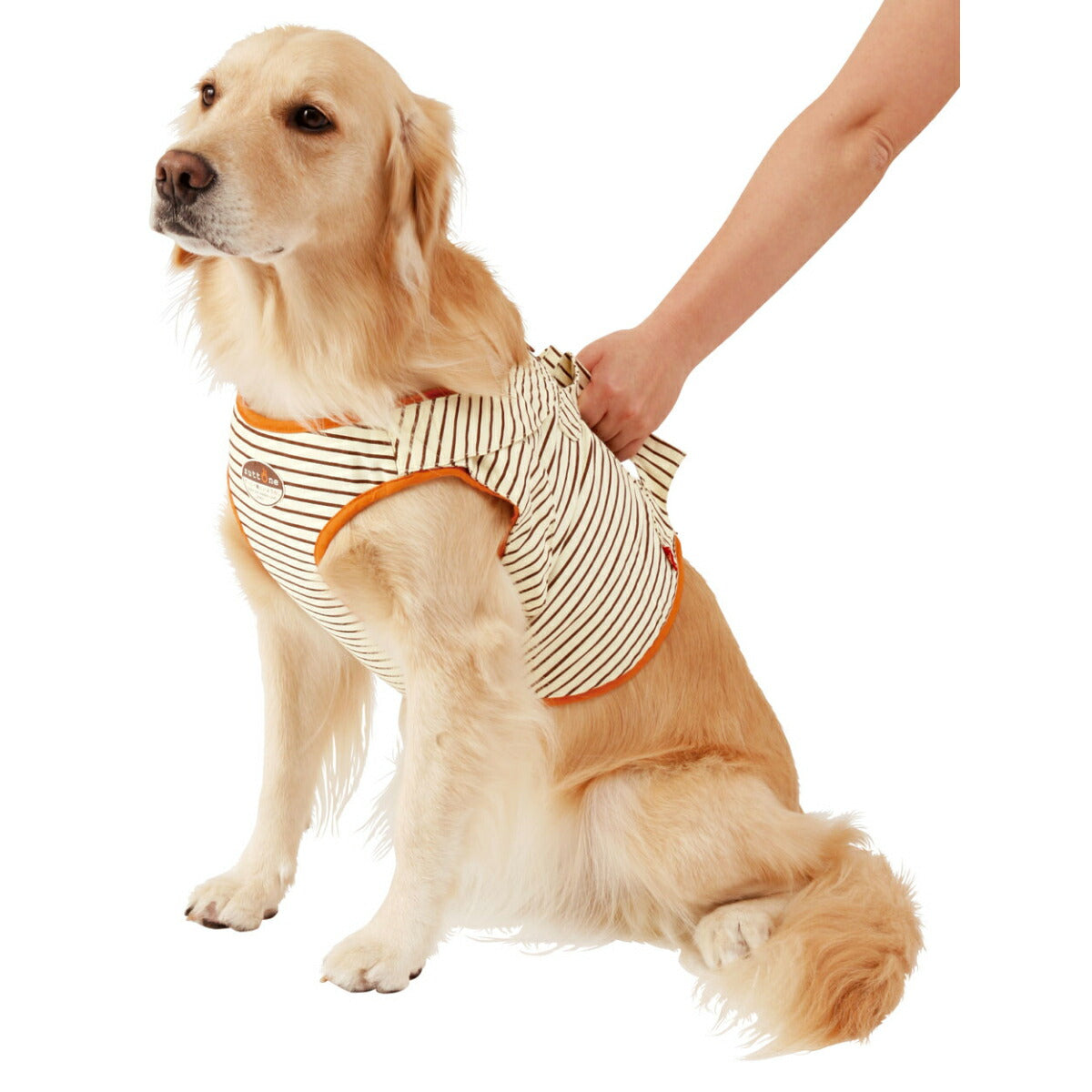 ペティオ zuttone 老犬介護用 補助機能付ベストK 3L【送料無料】 抗菌 消臭 手洗い
