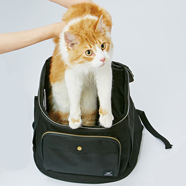 ペティオ necoco リュックキャリー ブラック【送料無料】 猫用 キャリーバッグ リュック型