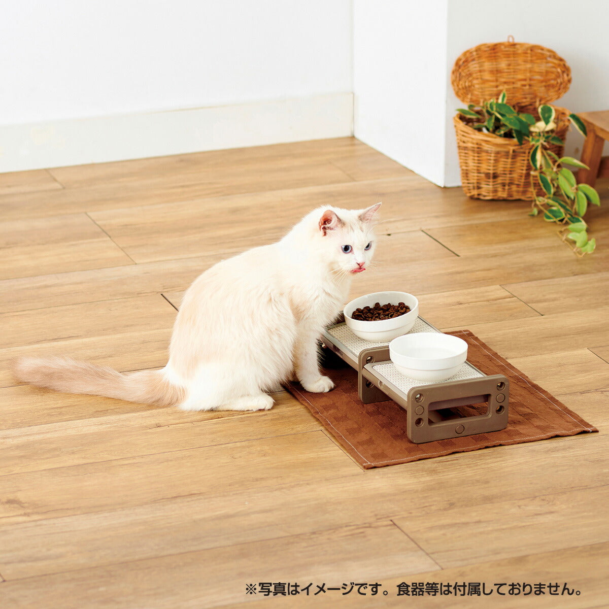ペティオ 高さも角度も変えられる 猫用 食事台 テーブル 食事