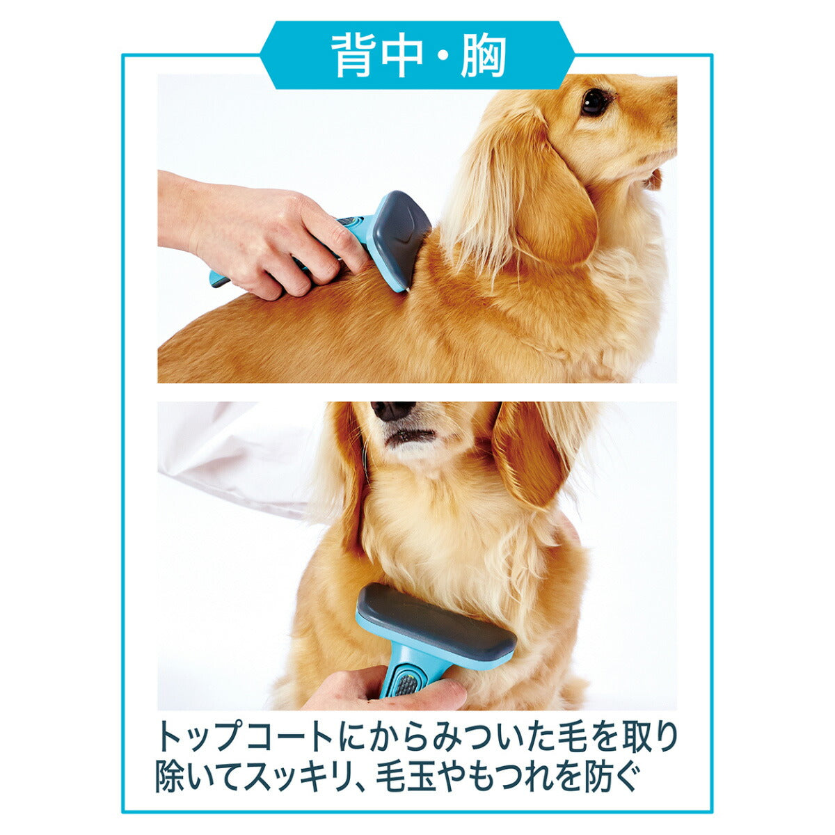 ペティオ Self Trimmer スライドロック式 抜け毛が取れるブラシ レギュラー ムダ毛取り