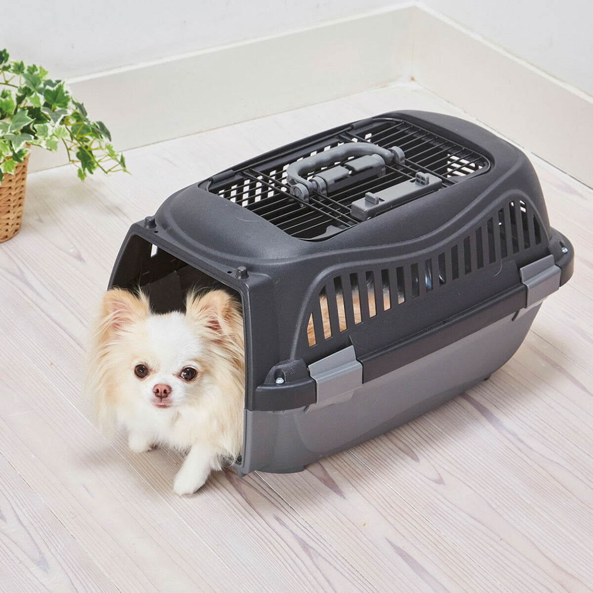 ペティオ ハウスにしやすい2ドアスマイルキャリープラス S ブラック【送料無料】 ハードキャリー クレート 犬 猫 小動物
