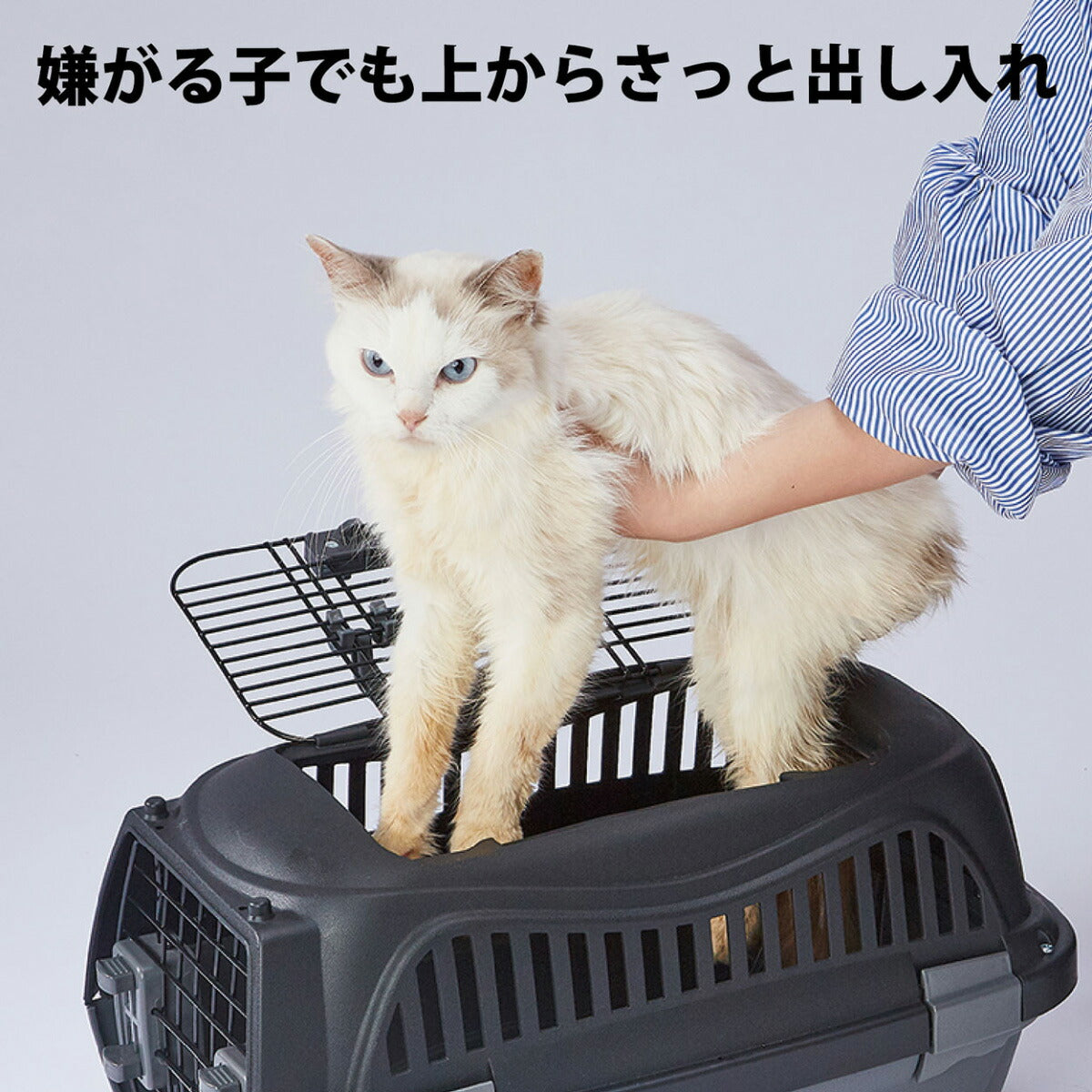 ペティオ ハウスにしやすい2ドアスマイルキャリープラス S ブラック【送料無料】 ハードキャリー クレート 犬 猫 小動物