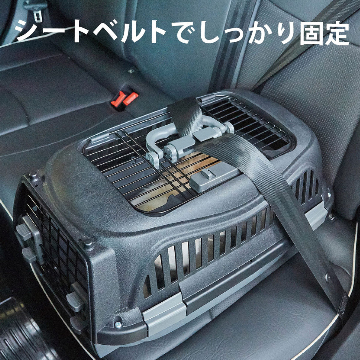 ペティオ ハウスにしやすい2ドアスマイルキャリープラス S ブラック【送料無料】 ハードキャリー クレート 犬 猫 小動物
