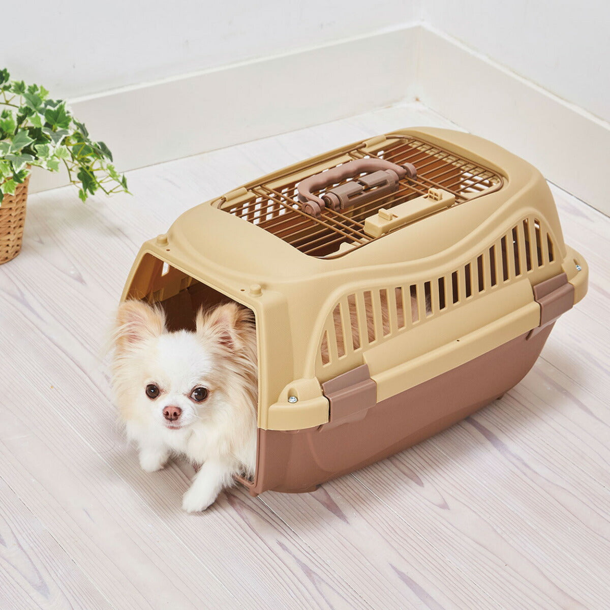 ペティオ ハウスにしやすい2ドアスマイルキャリープラス S モカブラウン【送料無料】 ハードキャリー クレート 犬 猫 小動物