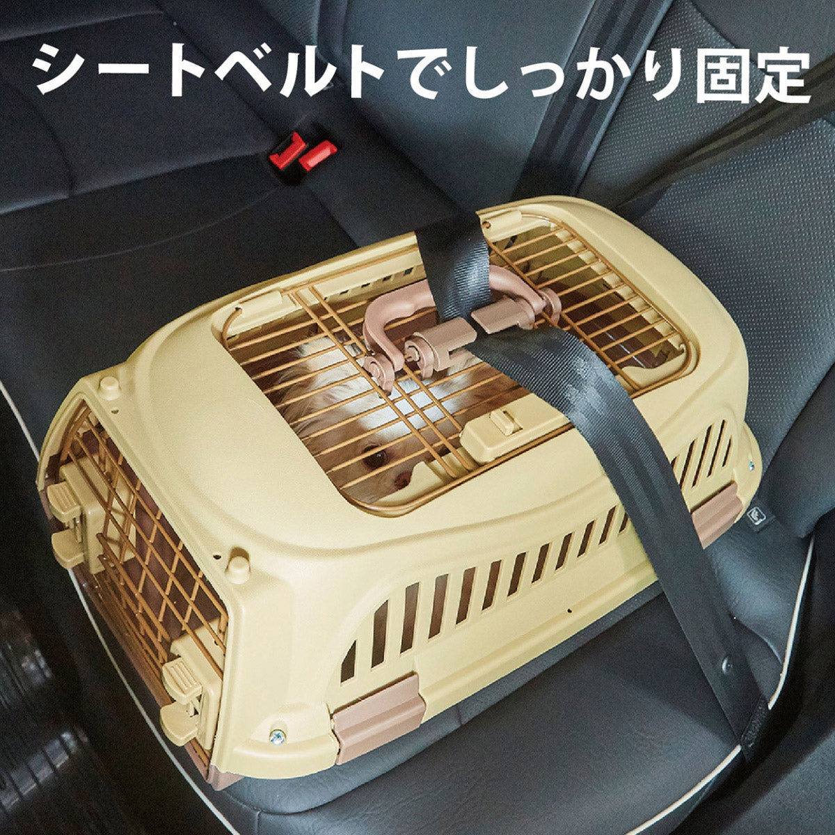 ペティオ ハウスにしやすい2ドアスマイルキャリープラス S モカブラウン【送料無料】 ハードキャリー クレート 犬 猫 小動物