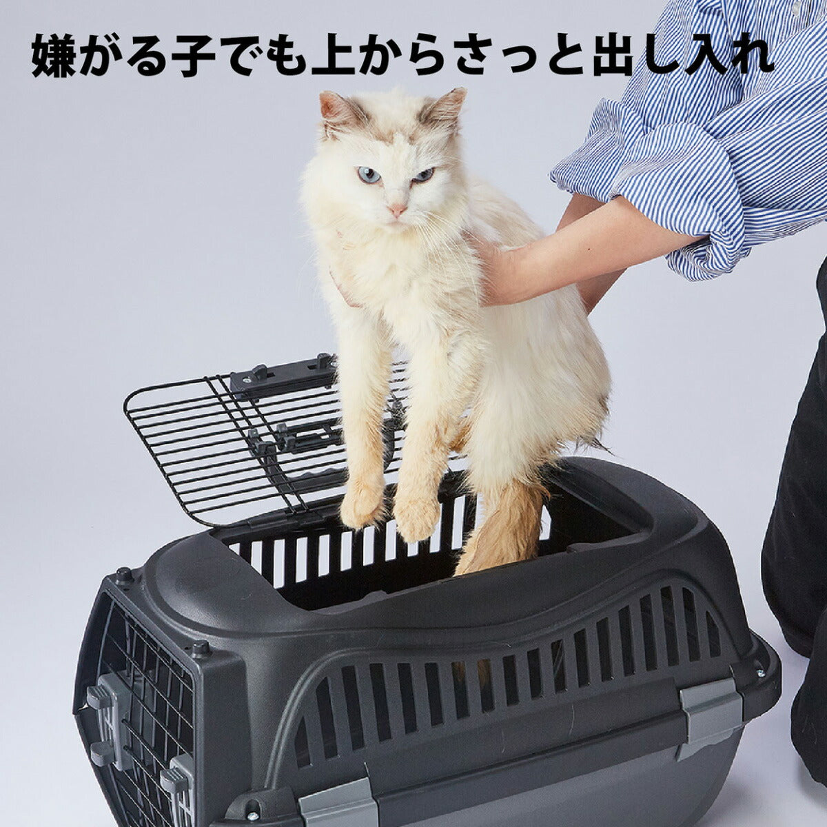 ペティオ ハウスにしやすい2ドアスマイルキャリープラス M ブラック【送料無料】 ハードキャリー クレート 犬 猫 小動物