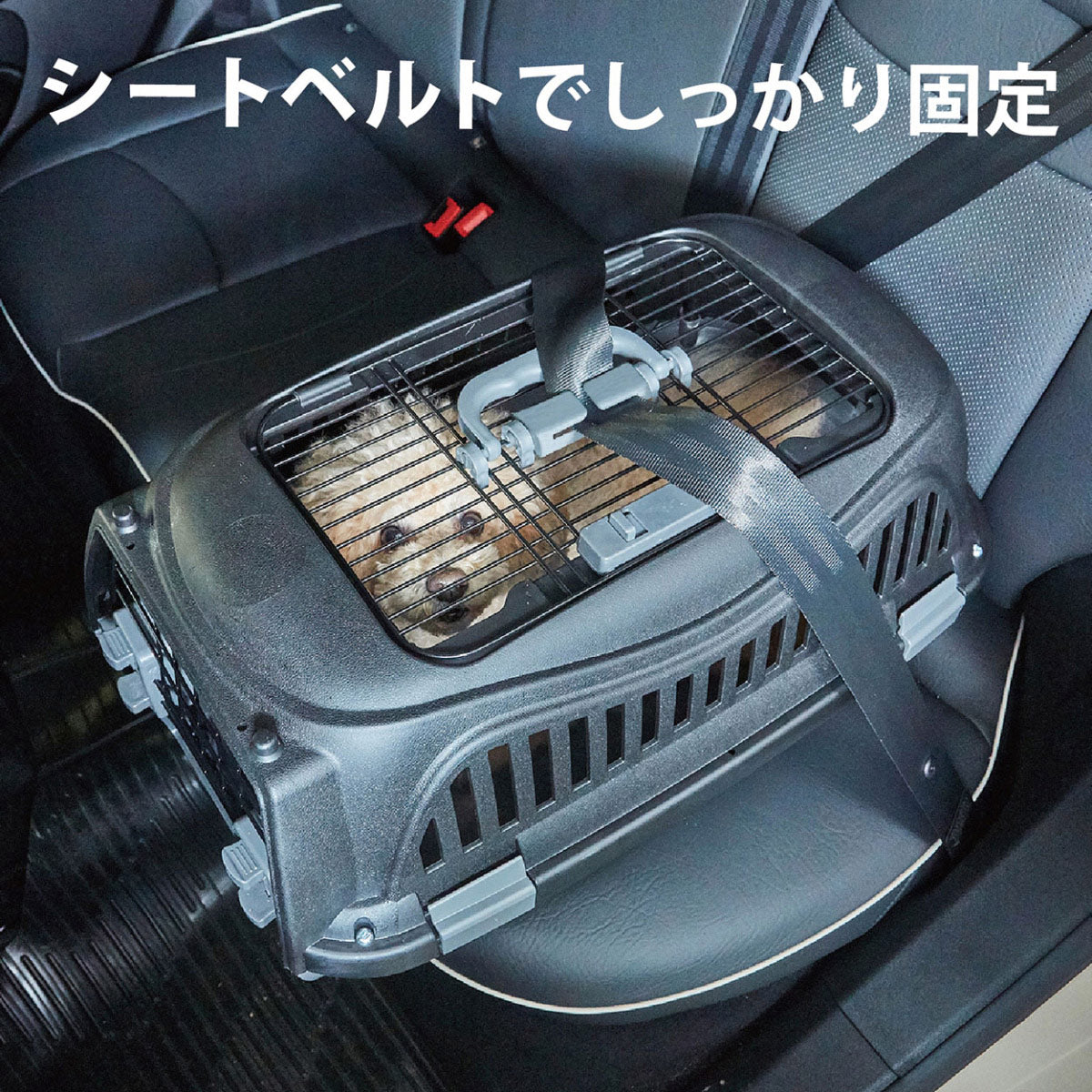ペティオ ハウスにしやすい2ドアスマイルキャリープラス M ブラック【送料無料】 ハードキャリー クレート 犬 猫 小動物