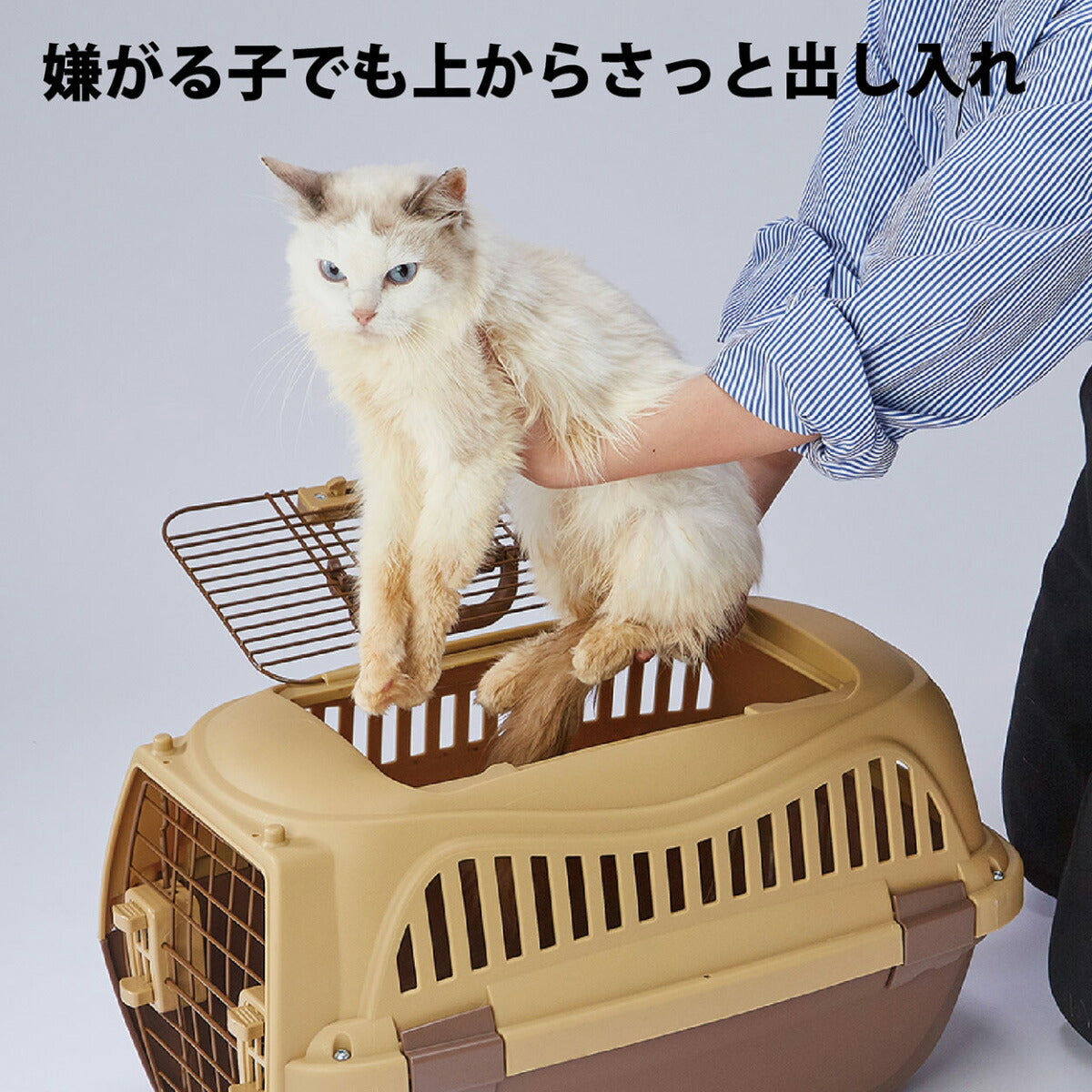 ペティオ ハウスにしやすい2ドアスマイルキャリープラス M モカブラウン【送料無料】 ハードキャリー クレート 犬 猫 小動物