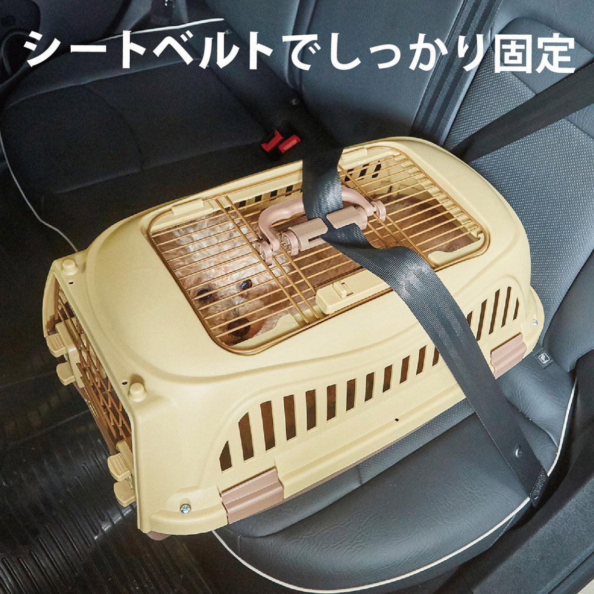 ペティオ ハウスにしやすい2ドアスマイルキャリープラス M モカブラウン【送料無料】 ハードキャリー クレート 犬 猫 小動物