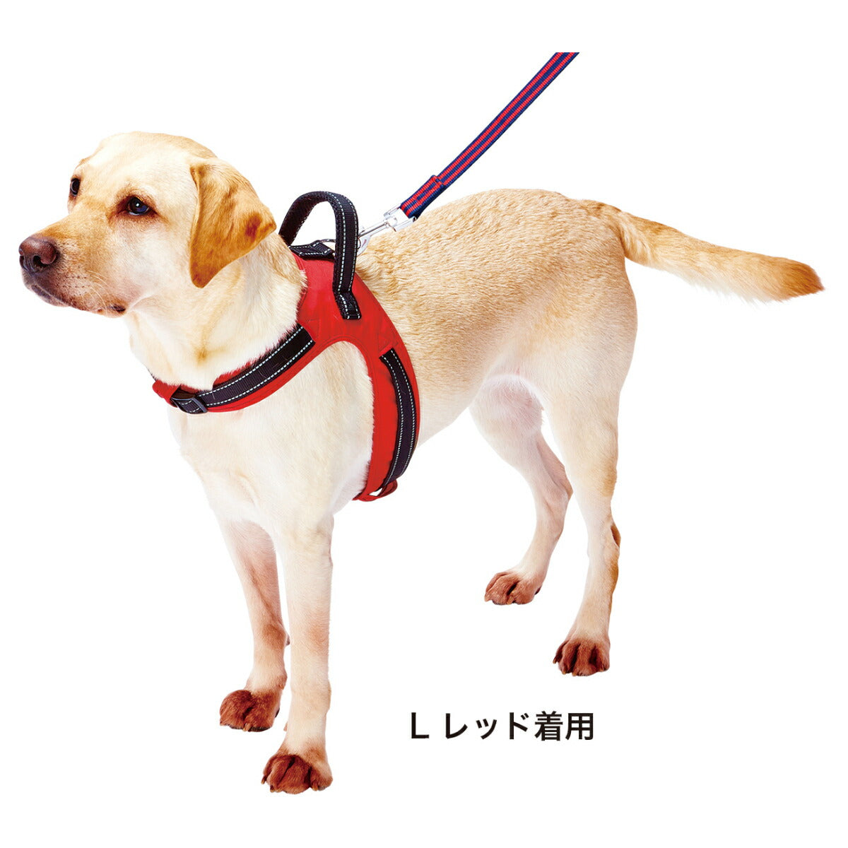 ペティオ ラブハーネス レッド 大型犬用 ハンドル付き 反射付