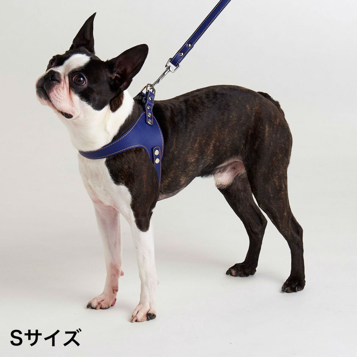 ペティオ Porta ソフトレザーベストハーネス S ネイビー 小型犬用 合皮