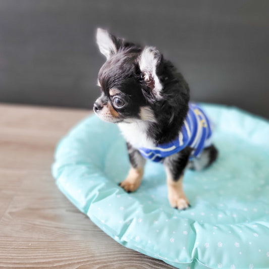 ペティファーム Petifam ひんやりジェルベッド グリーン