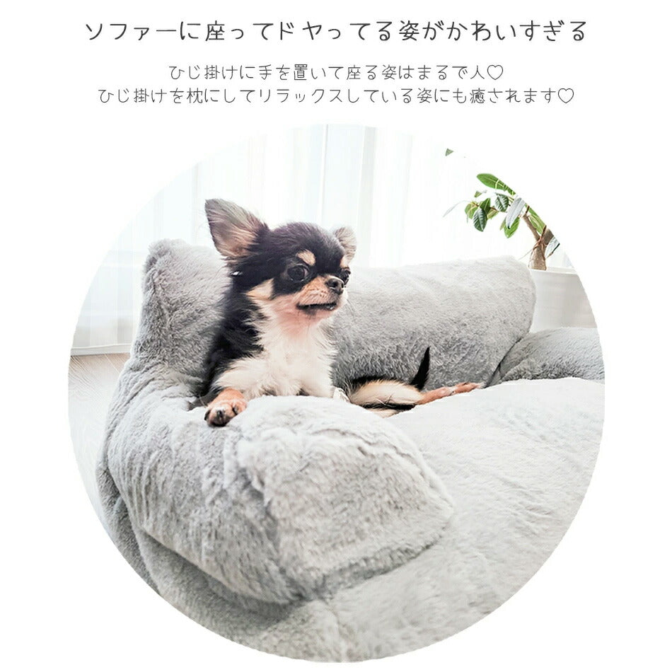 ペティファーム Petifam ペット用ソファーベッド ミルクティー【送料無料】