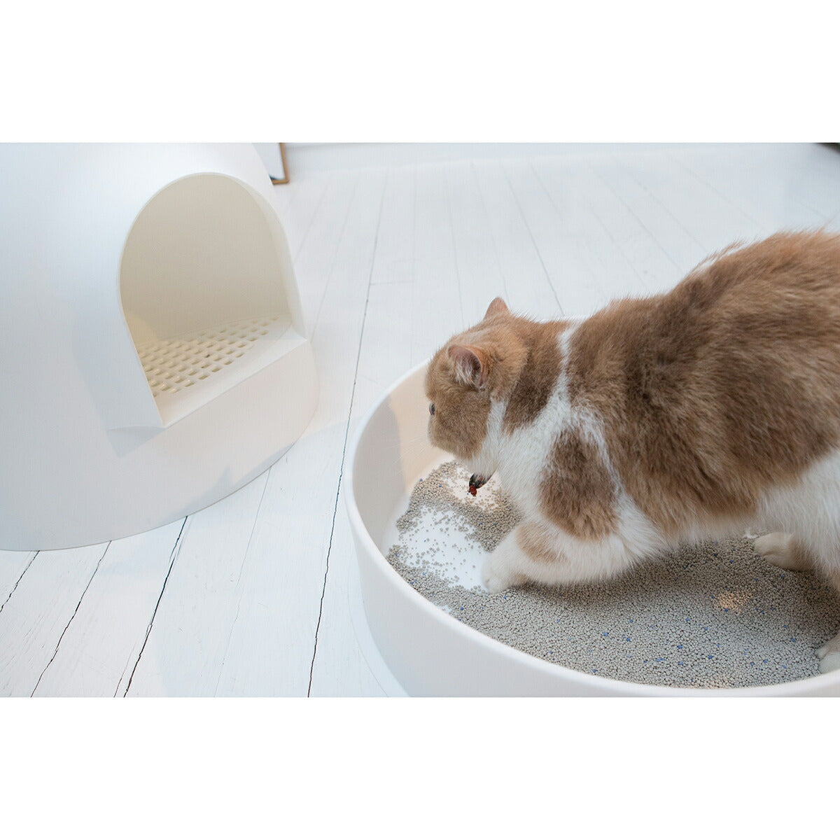 pidan 猫用トイレ スノードーム型 キャットトイレ
