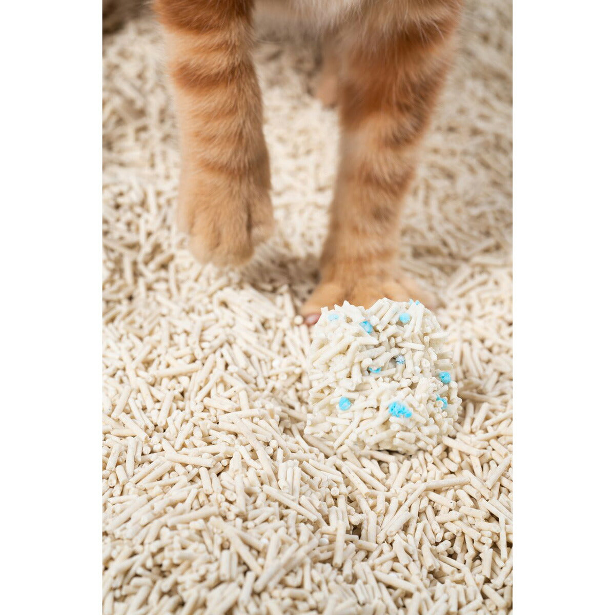 pidan おからミックス猫砂 （潜血チェック顆粒入り） 2.4kg×4個【送料無料】